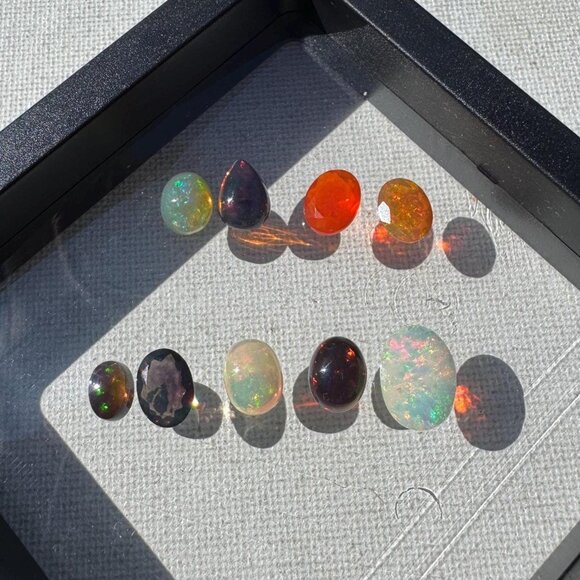 11 carats of Opals in Display Case - Picture 1 of 7